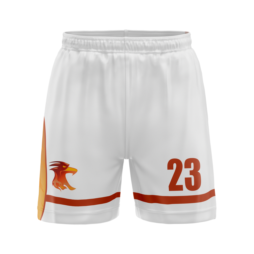 Official 2023 Hotbird Sun Hoodie – Phila Phoenix